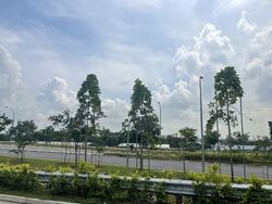 Ponggol Twenty-fourth Avenue (D19), Semi-Detached #559351581